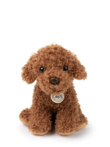 B.T. Chaps, Stacy the Labradoodle