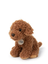 Afbeelding in Gallery-weergave laden, B.T. Chaps, Stacy the Labradoodle