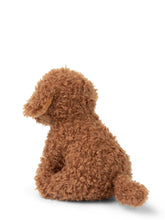 Afbeelding in Gallery-weergave laden, B.T. Chaps, Stacy the Labradoodle
