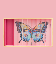 Afbeelding in Gallery-weergave laden, Billes &amp; Co, knikkers - papillons anamorphique