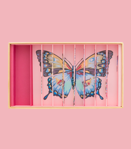 Billes & Co, knikkers - papillons anamorphique