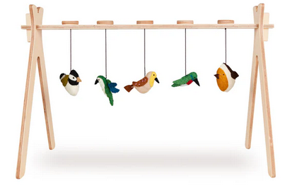 Quax, babygym - birds