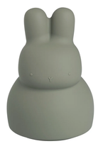 Afbeelding in Gallery-weergave laden, Baby&#39;s Only, nachtlamp met muziek - bunny green