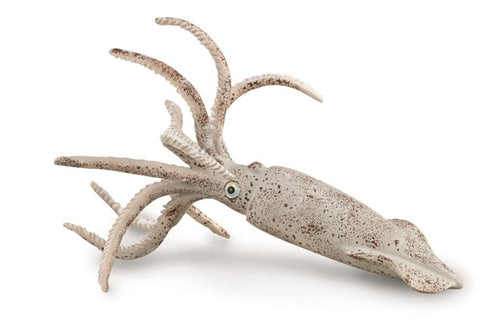 CollectA, Belemniet