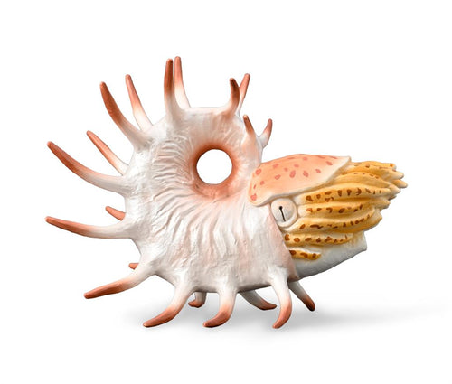CollectA, Cooperoceras