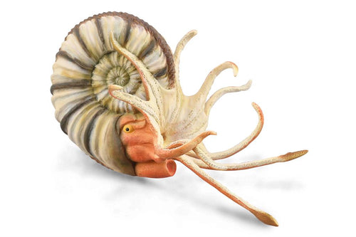 CollectA, Pleuroceras Ammoniet