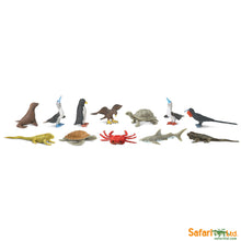 Afbeelding in Gallery-weergave laden, Safari, Toob set speelfiguurtjes - Galapagos