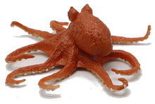 Afbeelding in Gallery-weergave laden, Water world, Octopus