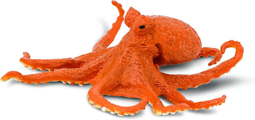Water world, Octopus