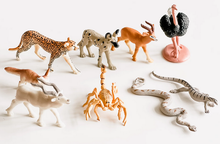 Afbeelding in Gallery-weergave laden, Safari, Toob set speelfiguurtjes - Sahara Desert