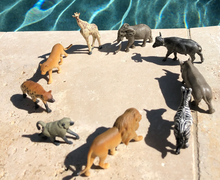 Afbeelding in Gallery-weergave laden, Safari, Toob set speelfiguurtjes - South African animals