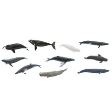 Afbeelding in Gallery-weergave laden, Safari, Toob set speelfiguurtjes - Whales