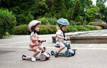 Afbeelding in Gallery-weergave laden, Scoot &amp; Ride, Highwaykick 1 - ash