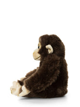Afbeelding in Gallery-weergave laden, WWF, knuffel - Chimpanzee
