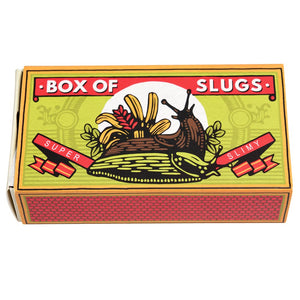 Rex, box of slugs
