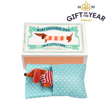 Afbeelding in Gallery-weergave laden, Rex, sausage dog in box