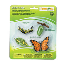 Afbeelding in Gallery-weergave laden, Safariology, levenscyclus - Monarch vlinder