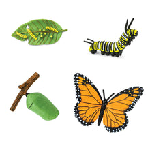 Afbeelding in Gallery-weergave laden, Safariology, levenscyclus - Monarch vlinder
