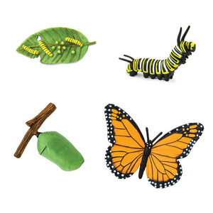 Safariology, levenscyclus - Monarch vlinder