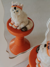 Afbeelding in Gallery-weergave laden, B.T. Chaps, Dolly the Ragdoll