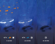 Afbeelding in Gallery-weergave laden, Zazu, ocean projector - Cody the crab