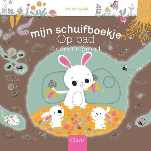 Schuifboekje - Op pad onder de grond