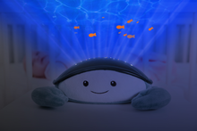 Afbeelding in Gallery-weergave laden, Zazu, ocean projector - Cody the crab