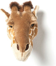 Afbeelding in Gallery-weergave laden, Wild &amp; Soft, muurdecoratie - giraf Ruby