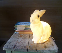Afbeelding in Gallery-weergave laden, Nachtlamp, konijn