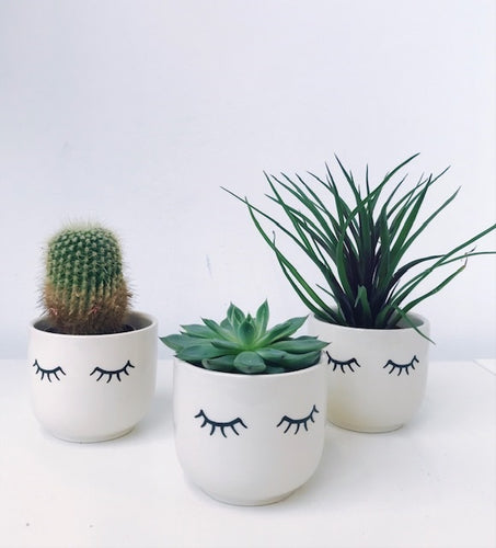 Planters, bloempotje - mini eyes shut