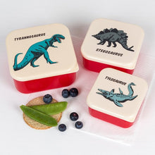 Afbeelding in Gallery-weergave laden, Rex, set van 3 snackdoosjes - prehistoric land